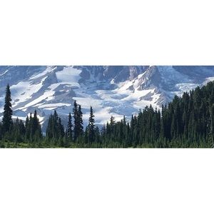 Meet your Posher, Sylvia